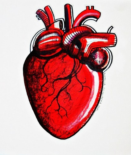 Biological Heart / Biologiczne serce