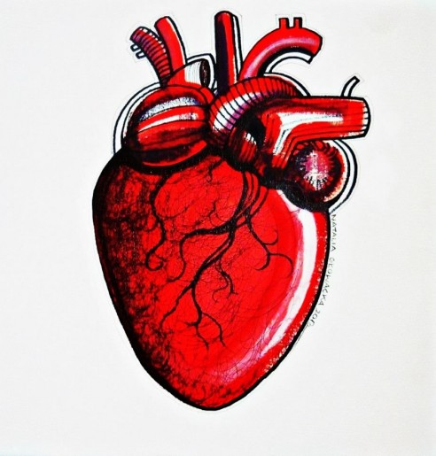 Biological Heart / Biologiczne serce